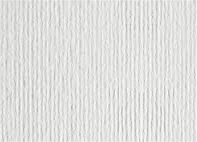 Nettuno bianca artico